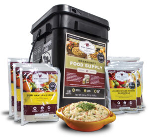 WISE RW10-160 ENTREE GRAB & GO BUCKET  60