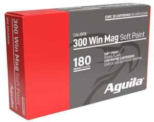AGUILA*82044AG       300WIN  INTERLCK 180GR  20/10