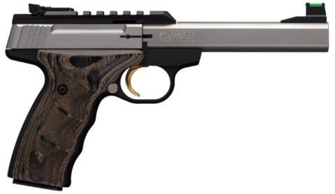 .22 LR