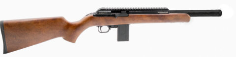 Chiappa Bushranger .22 LR, 16" Barrel, 10+1, Black