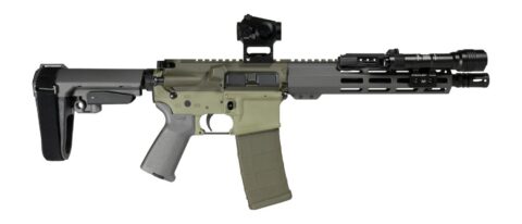 Shark Coast Tactical Bug Bear 300 Blackout, 10" Barrel, 30+1, Two-Tone