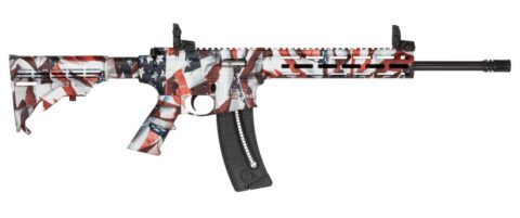 Smith & Wesson M&P15-22 Sport .22 LR, 16.5" Barrel, US Flag