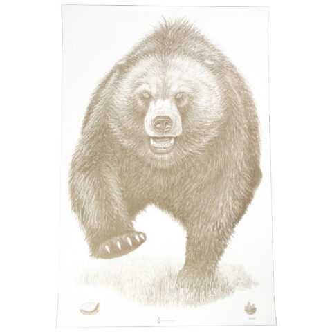 Action Target Alaska State Parks Bear Target, 23x35, 100 Per Box