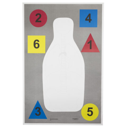 Action Target DT-ANTQ-A Anatomy Training Target, 23x35, 100 Pack
