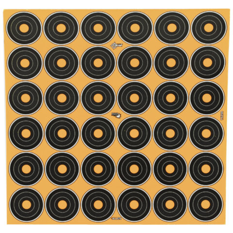 Allen EZ Aim 1" Bullseye Adhesive Targets, 12 Sheets