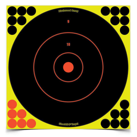 Birchwood Casey Shoot-N-C Round Bullseye Target 12 in, 12 Pack