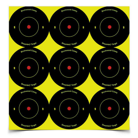 Birchwood Casey Shoot-N-C Round Bullseye Target, 2, 108 Targets