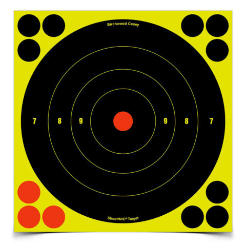 Birchwood Casey Shoot-N-C 8" Round Bullseye Target, 30 Targets