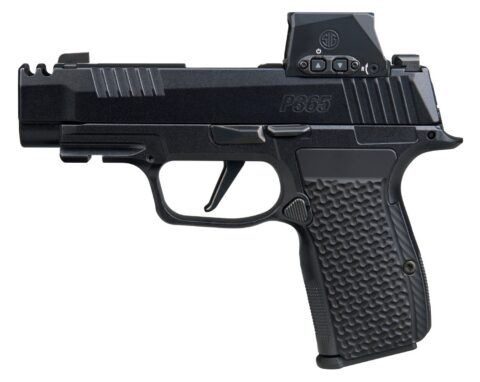 SIG Sauer P365 AXG Luxe .380 ACP, 3.1" Barrel, 12+1, Black