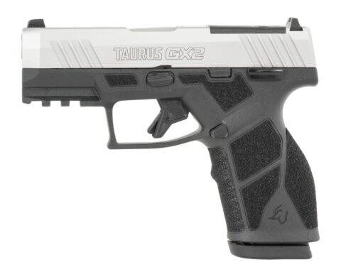 Taurus GX2 T.O.R.O. 9mm, 3.38" Barrel, 13+1, Stainless / Black