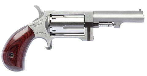 North American Arms Sidewinder .22 Magnum, 2.5" Barrel, 5-Round, Stainless