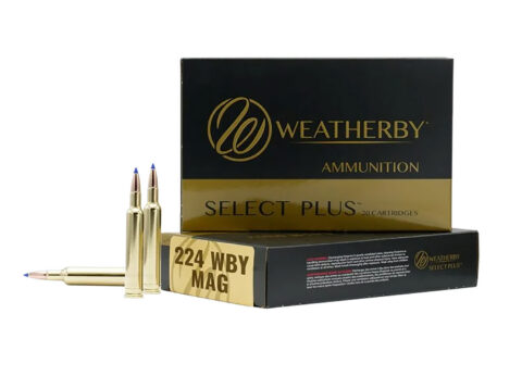 Weatherby Select Plus 224 WBY Mag 50gr Hornady V-Max, 20 Rounds