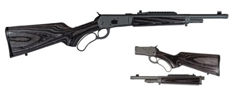 Chiappa 1892 L.A. Wildlands Takedown .44 Magnum, 16" Barrel, Gray